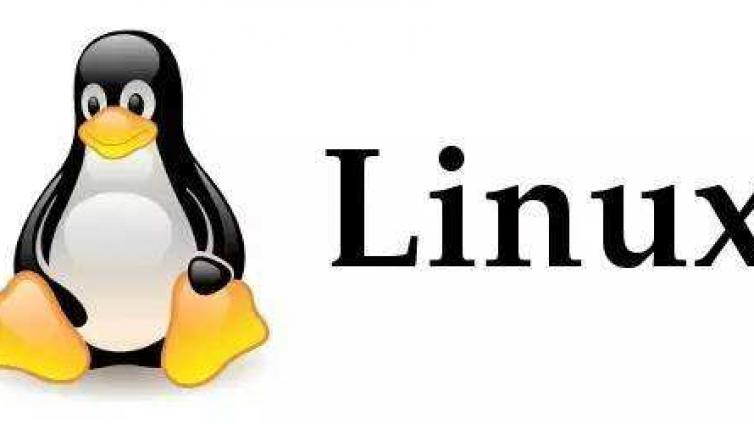 Linux进阶课：目录（文件夹）与文件操作